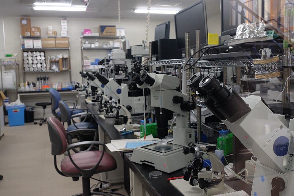 Laboratorium biologiczne z mikroskopem i sprzętem badawczym
