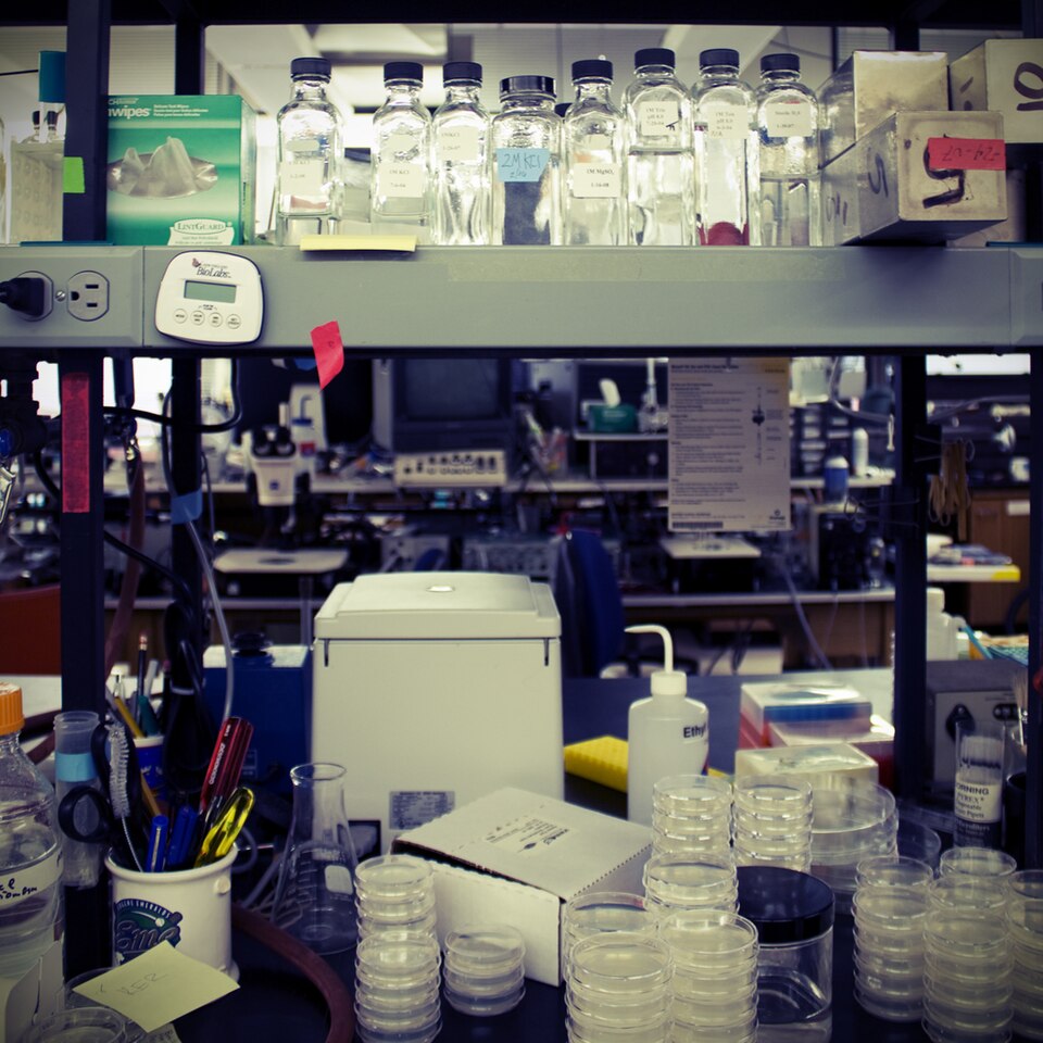 Laboratorium biologiczne z mikroskopami i naczyniami