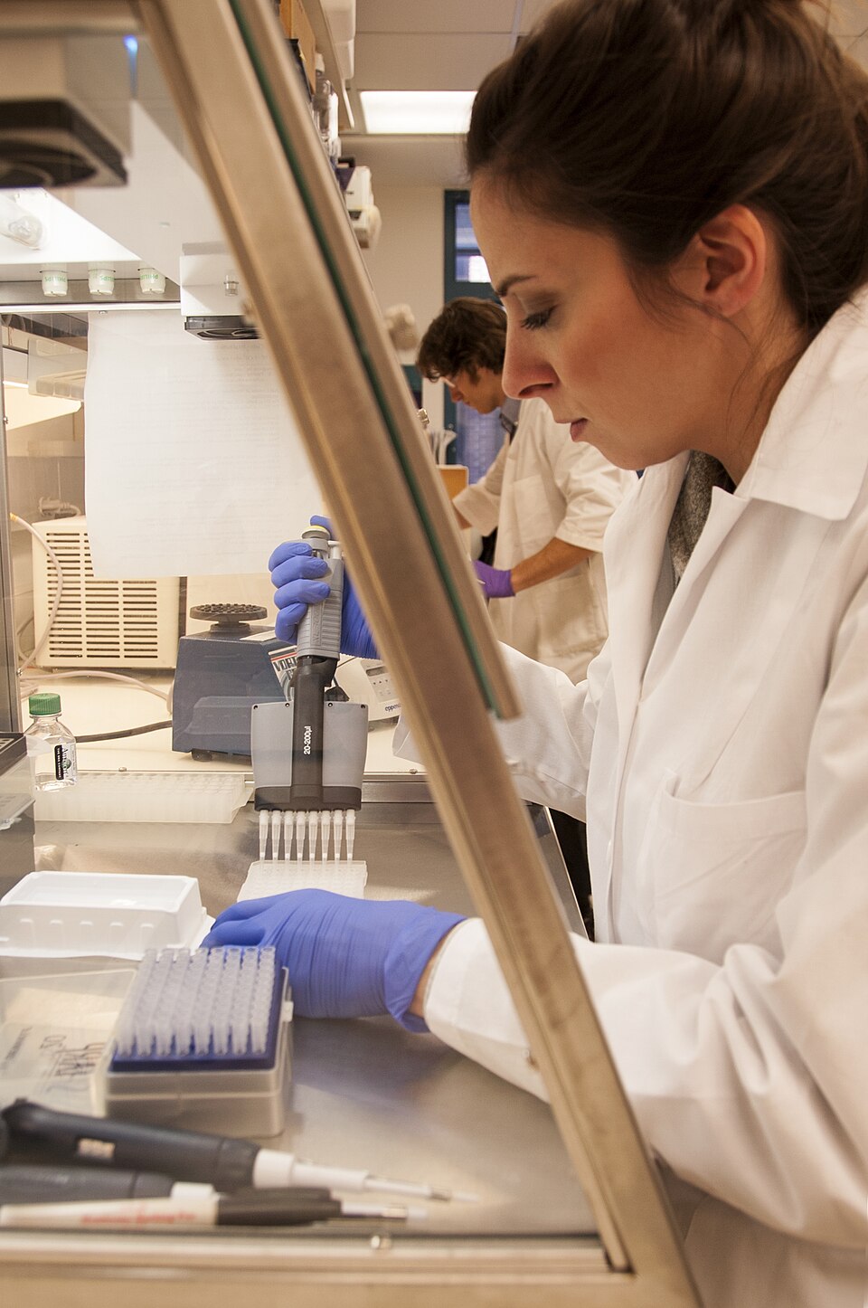 Naukowiec w laboratorium pracujący przy badaniach komórkowych